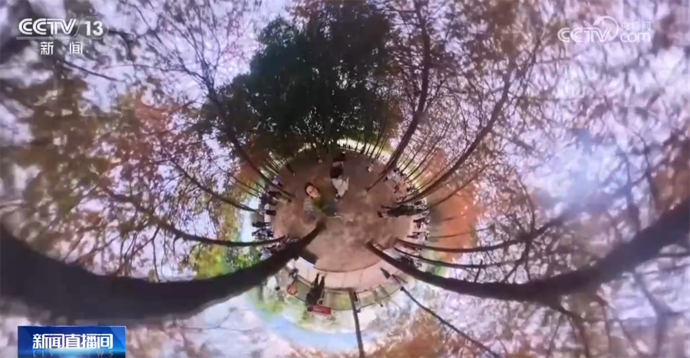 央视关注福州：闽江两岸披秋装 绚烂美景拍不停