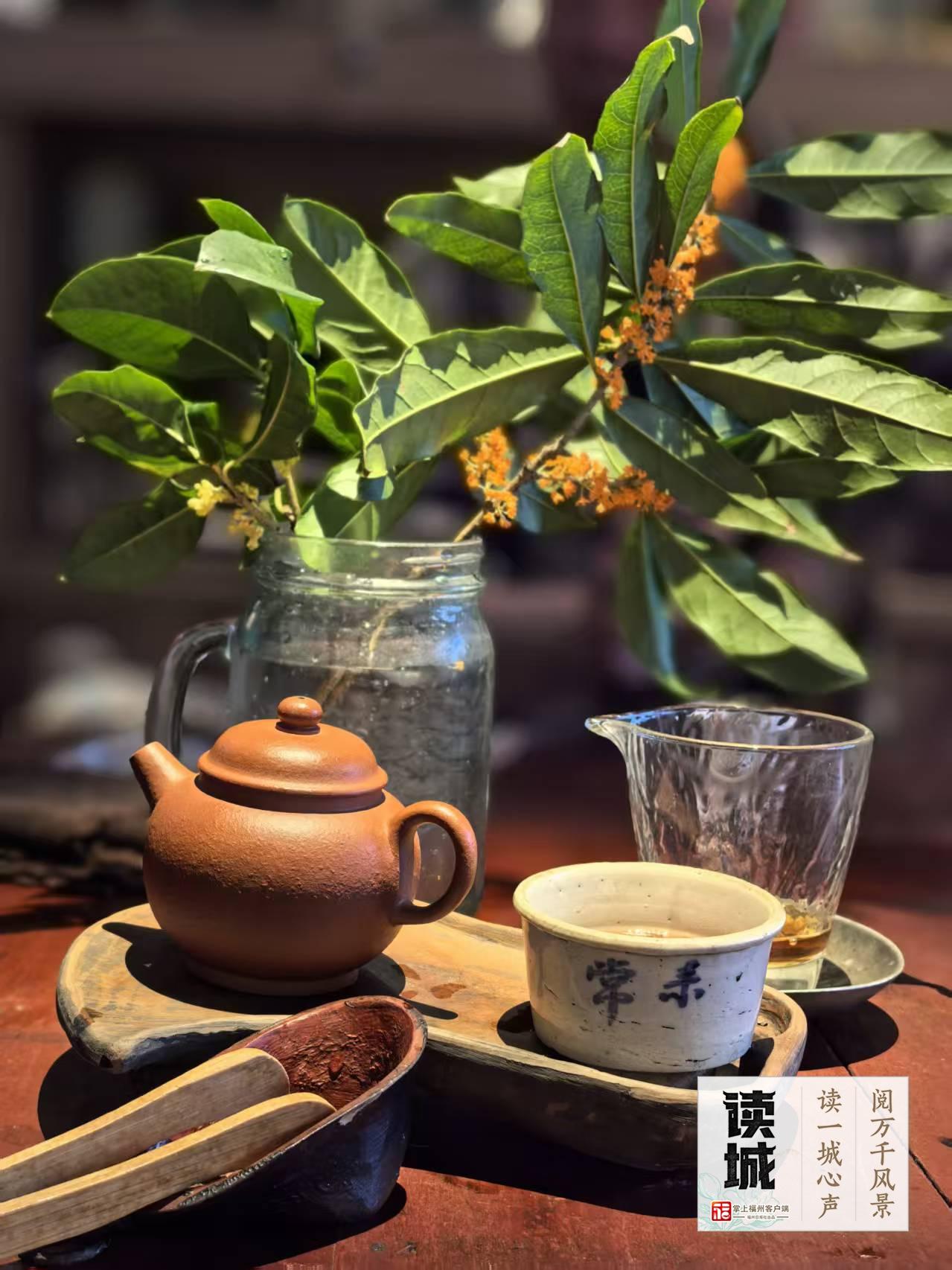 读城 | 久等了!福州秋日的第一缕桂香! 读城 | 久等了!福州秋日的第一缕桂香!