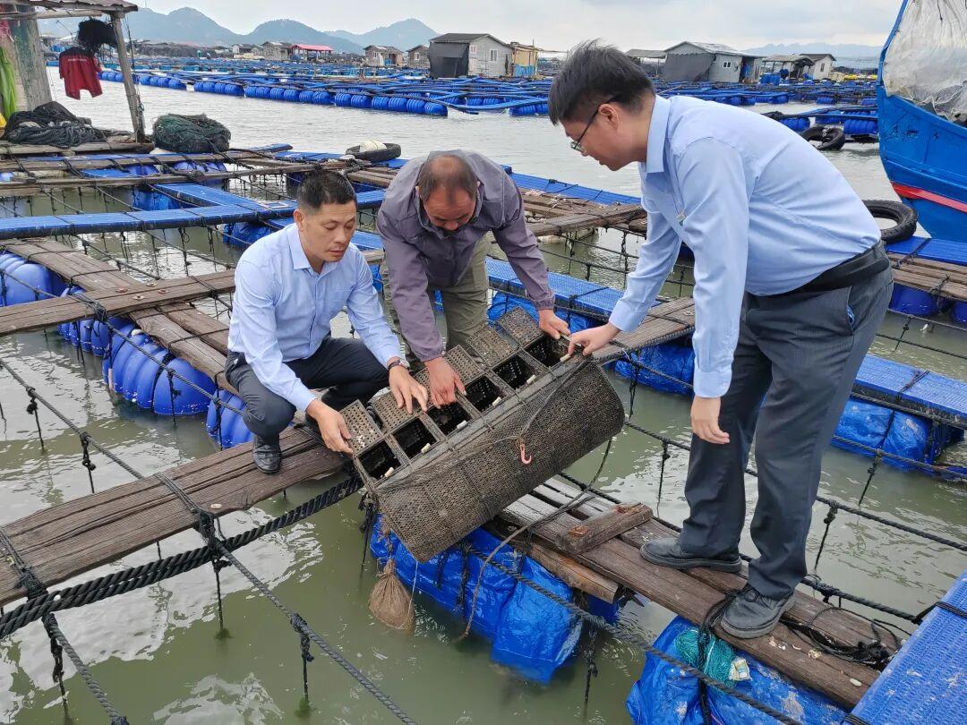 金融精准服务，助推蓝色产业逐浪高