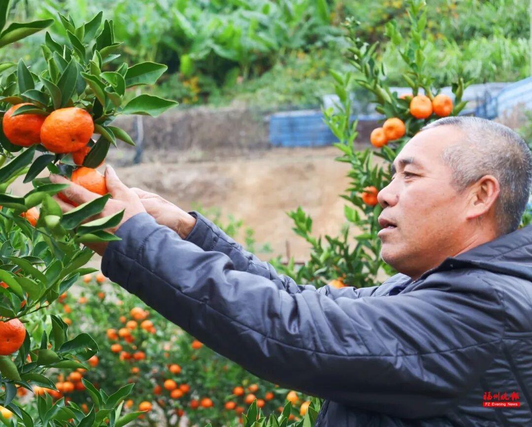 来福州 吃果果 来福州 吃果果