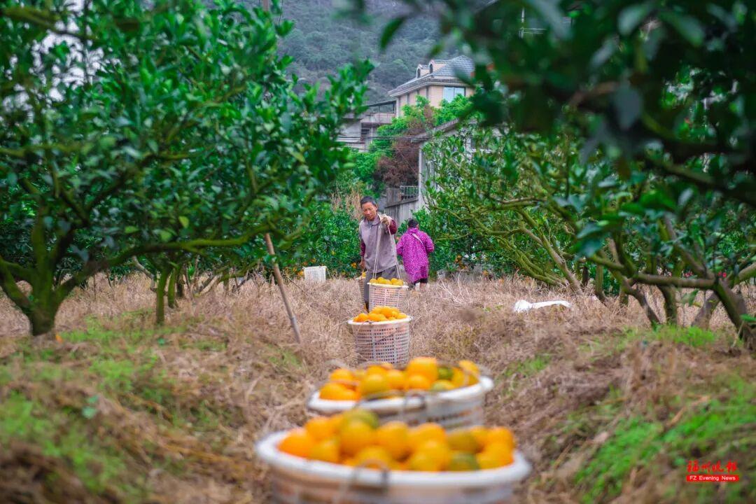 来福州 吃果果 来福州 吃果果