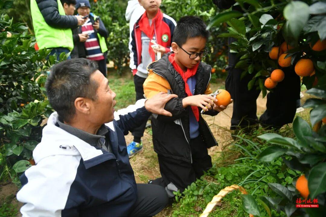 来福州 吃果果 来福州 吃果果