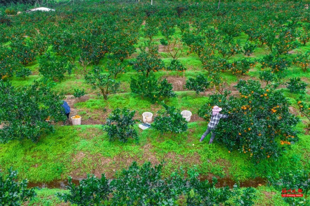 来福州 吃果果 来福州 吃果果