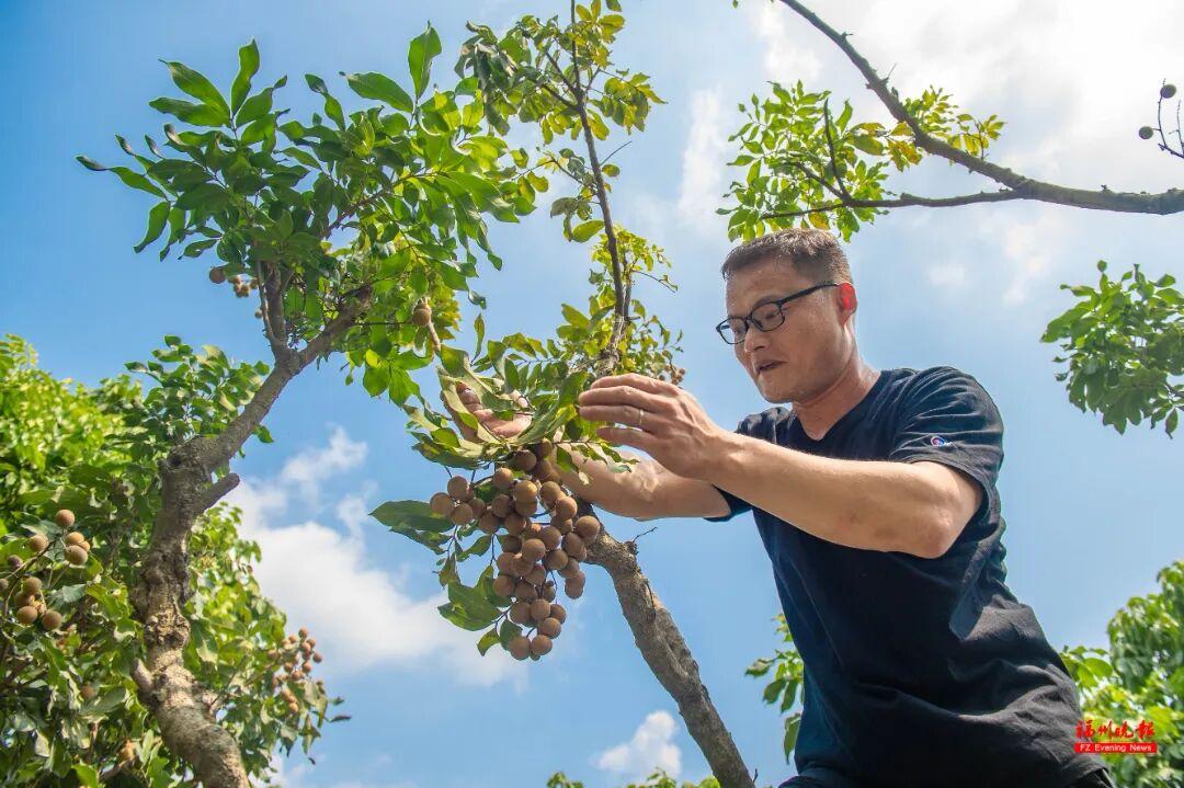 来福州 吃果果 来福州 吃果果