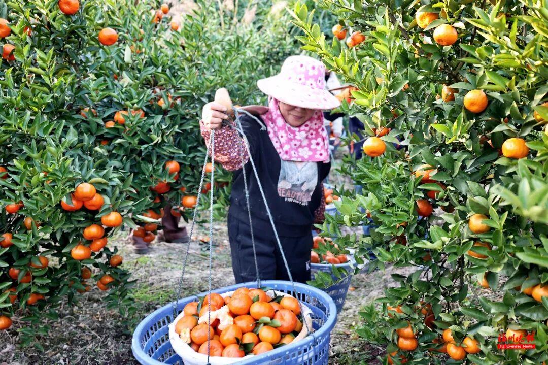 来福州 吃果果 来福州 吃果果
