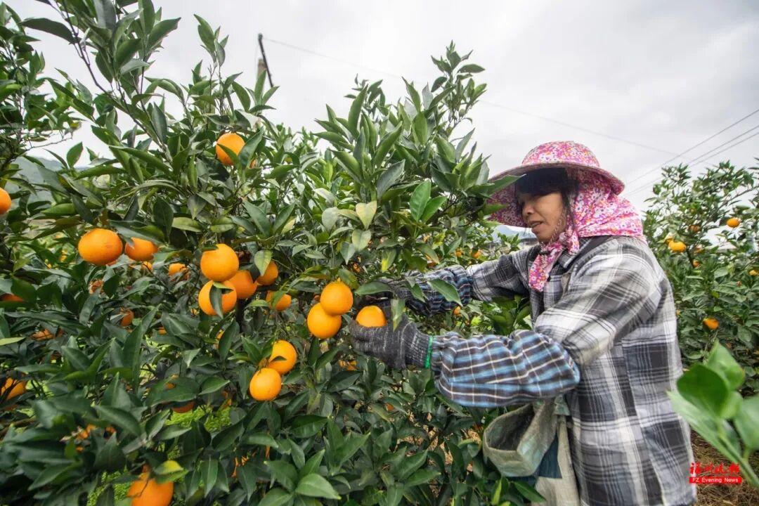 来福州 吃果果 来福州 吃果果