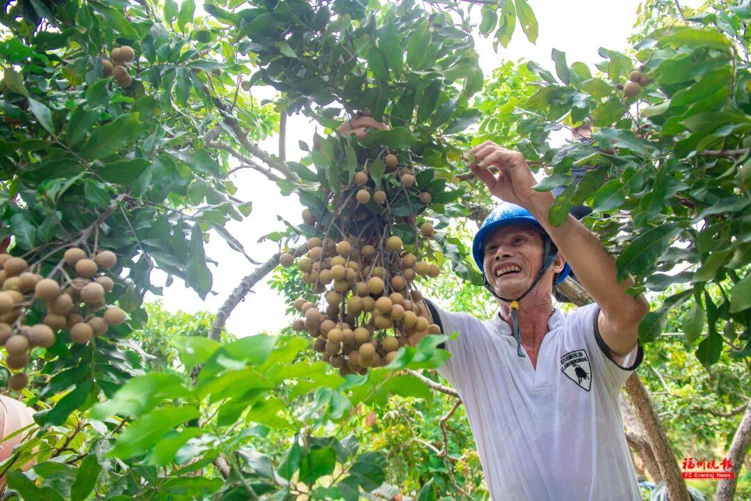 来福州 吃果果 来福州 吃果果