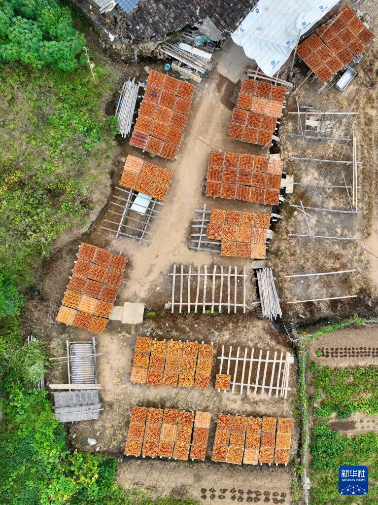 新华社关注永泰：金秋送爽晒好“柿”