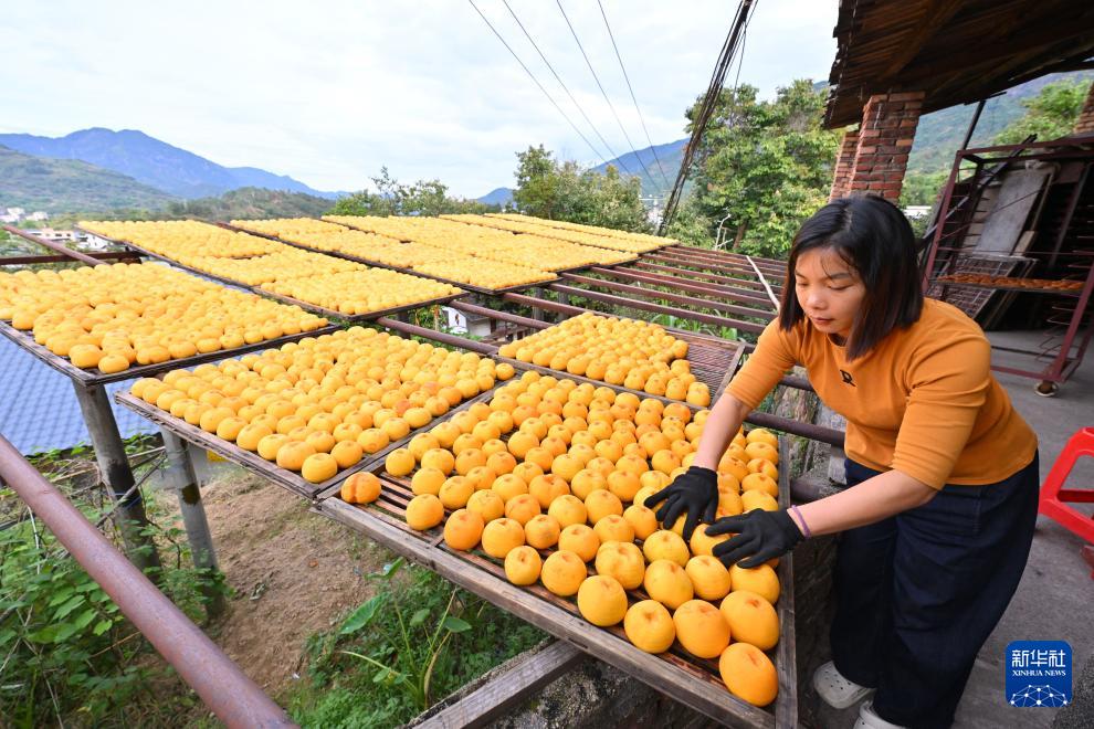 新华社关注永泰：金秋送爽晒好“柿”