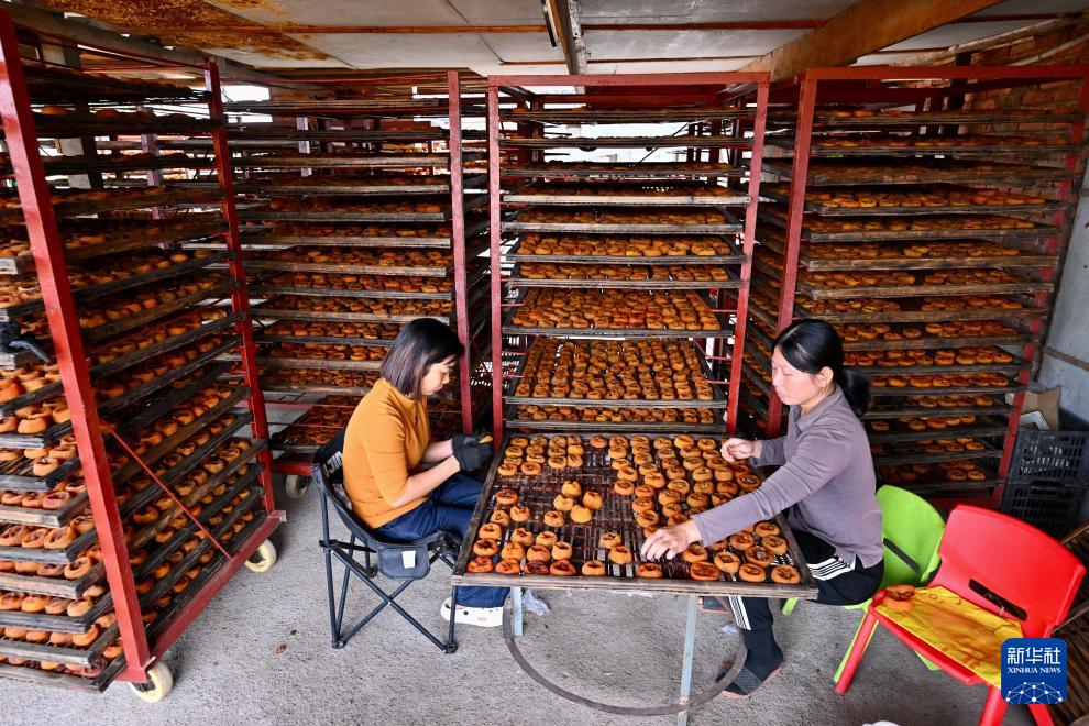 新华社关注永泰：金秋送爽晒好“柿”
