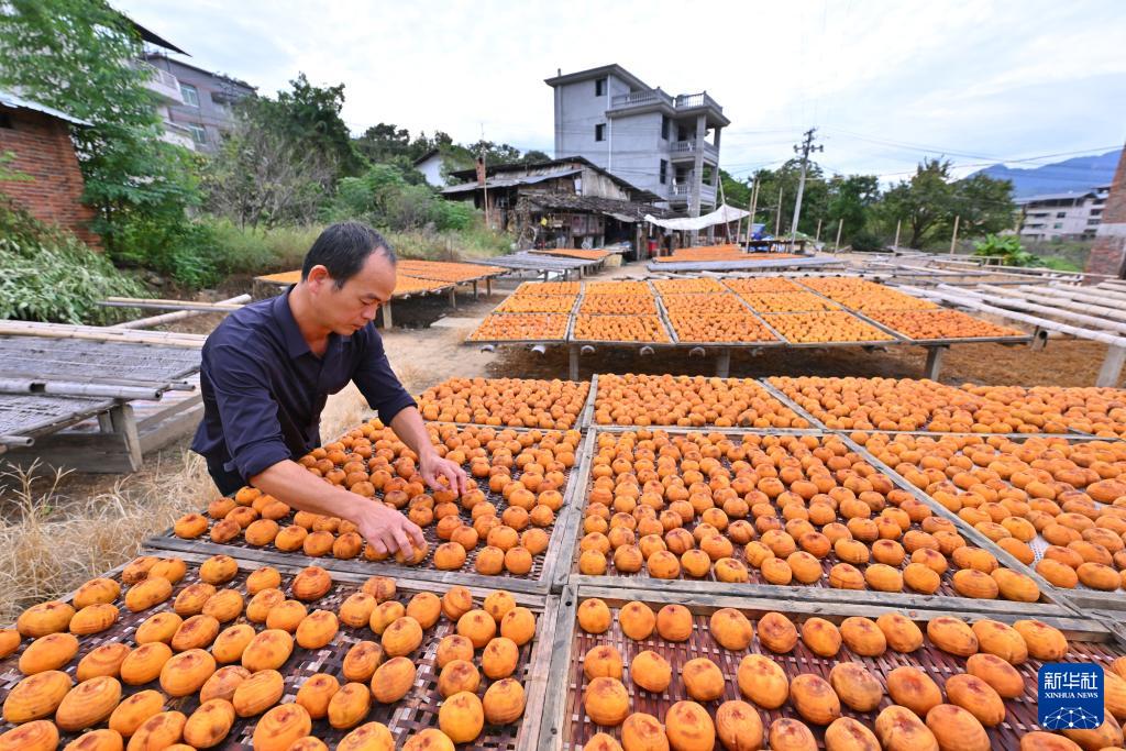 新华社关注永泰：金秋送爽晒好“柿”