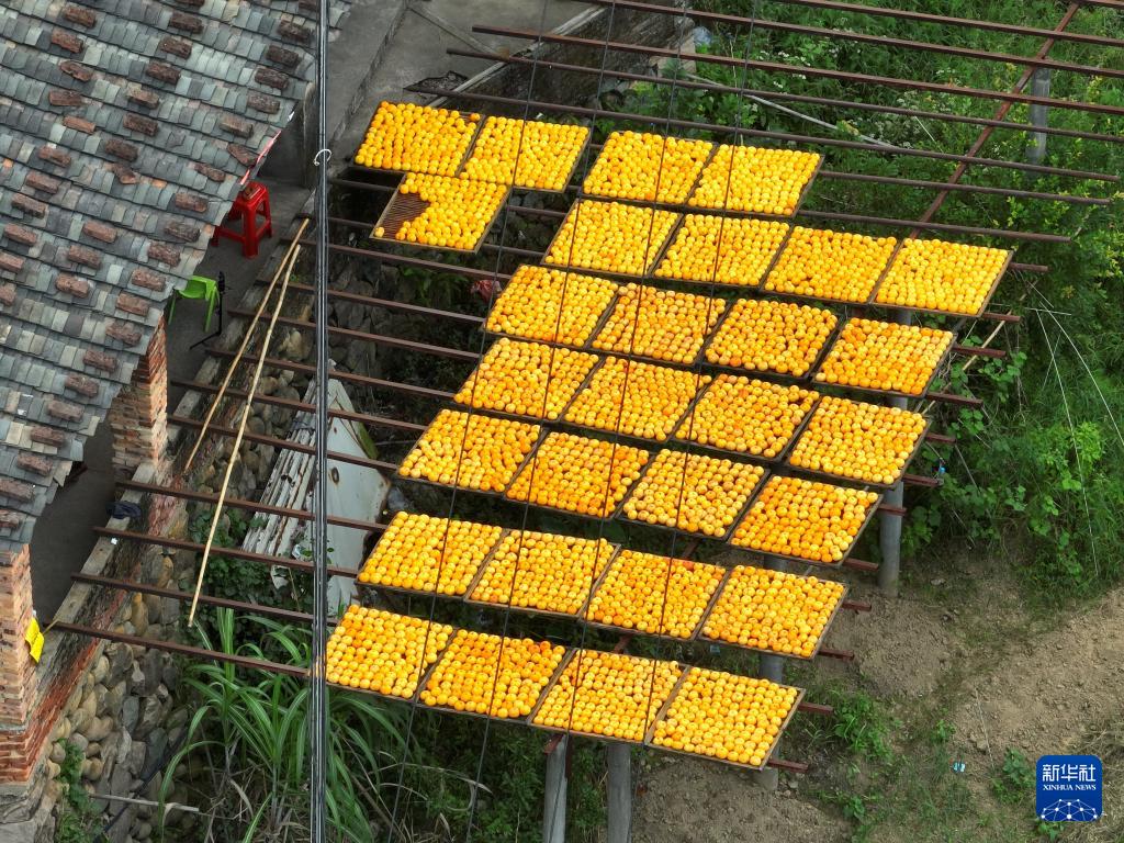 新华社关注永泰：金秋送爽晒好“柿”