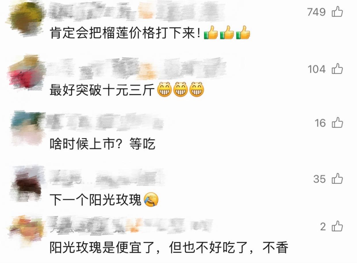 只把价格打下来不是真“榴莲自由”