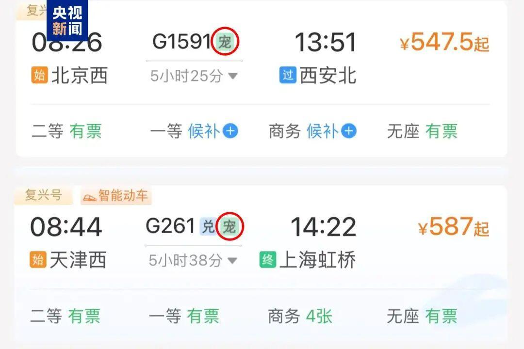 12306购票页面出现“宠”字是咋回事？