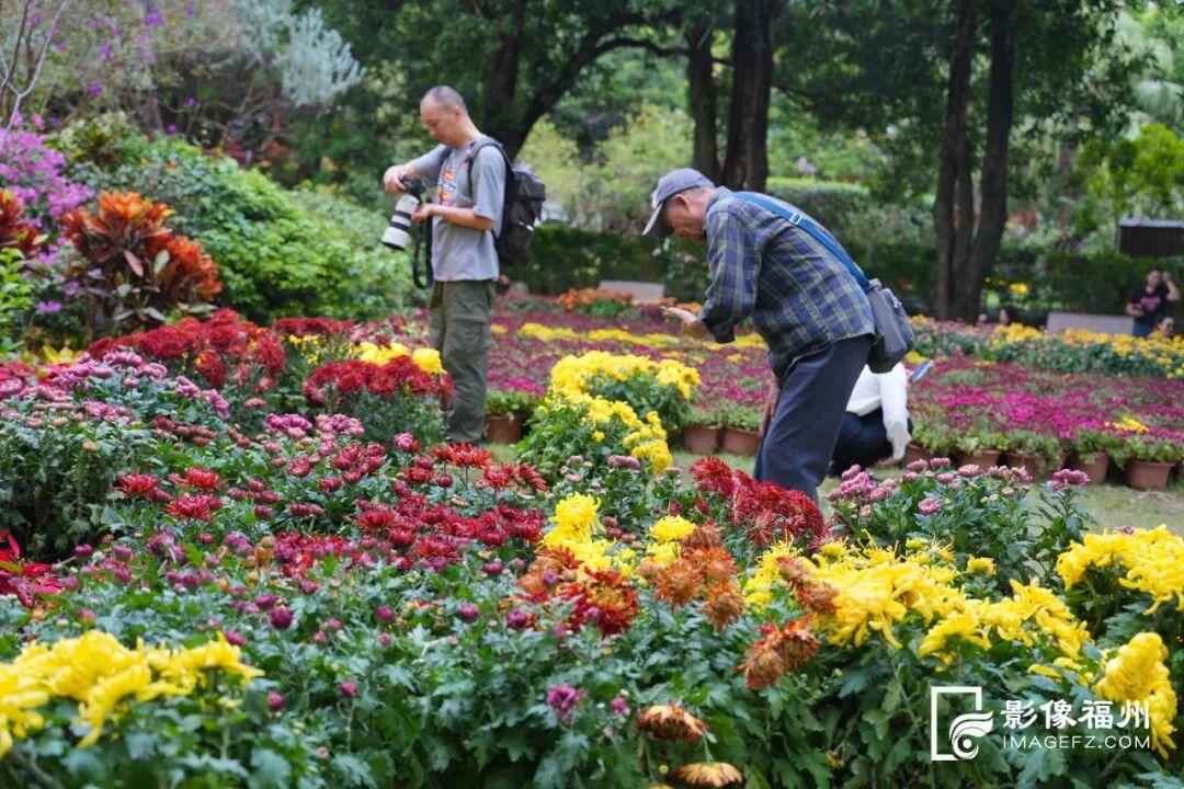 这项金秋的传统雅事，下周开幕！
