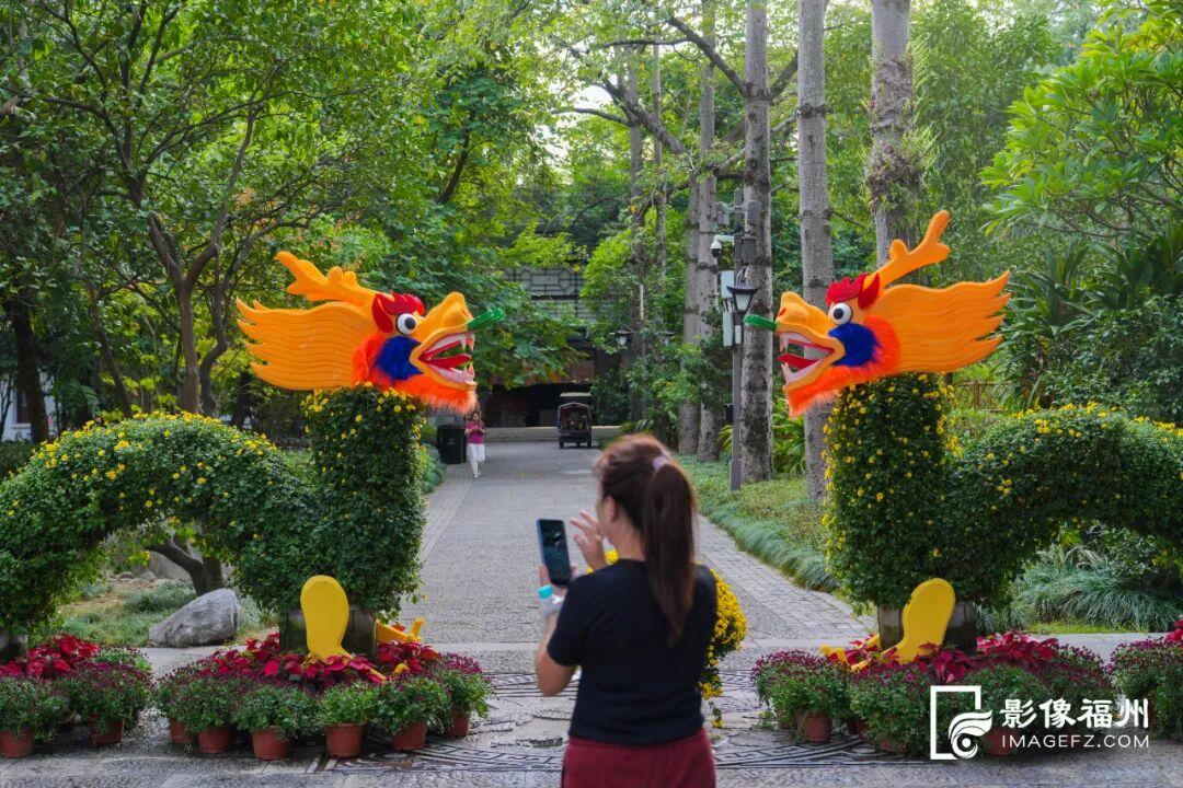 这项金秋的传统雅事，下周开幕！