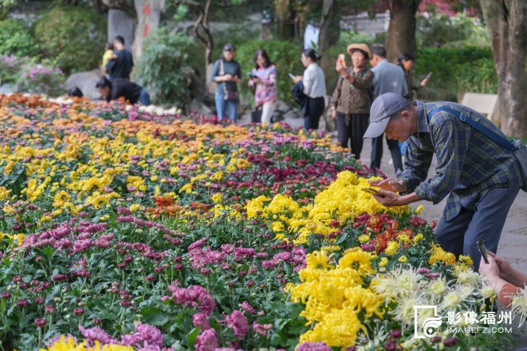 这项金秋的传统雅事，下周开幕！