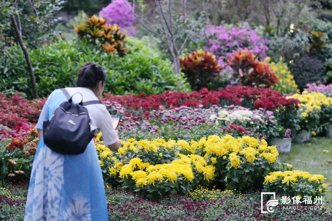 这项金秋的传统雅事，下周开幕！