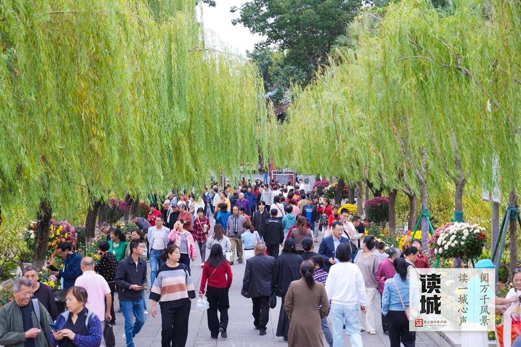 读城｜一抹菊香半城秋！福州西湖菊展惊艳绽放70年，承载几代记忆