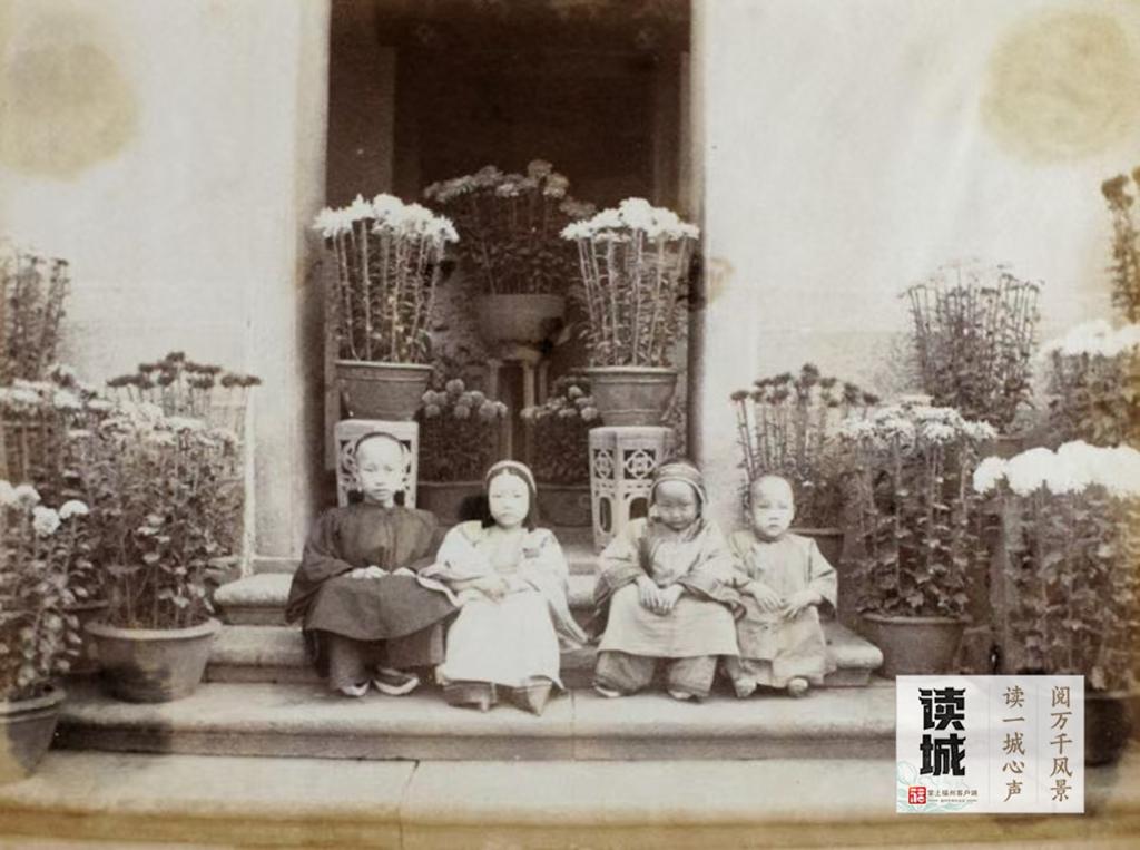 读城｜一抹菊香半城秋！福州西湖菊展惊艳绽放70年，承载几代记忆