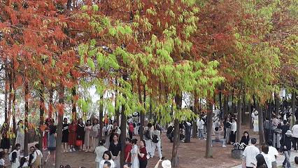 福建赏秋“新玩法” 快到江边“捡秋”吧