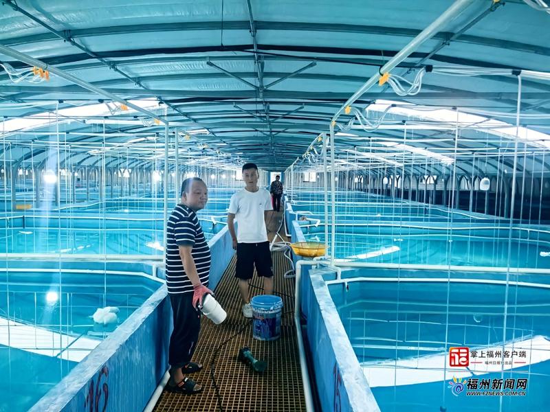 县在发生｜破解难题！罗源“剥皮鱼”变身“黄金鱼”