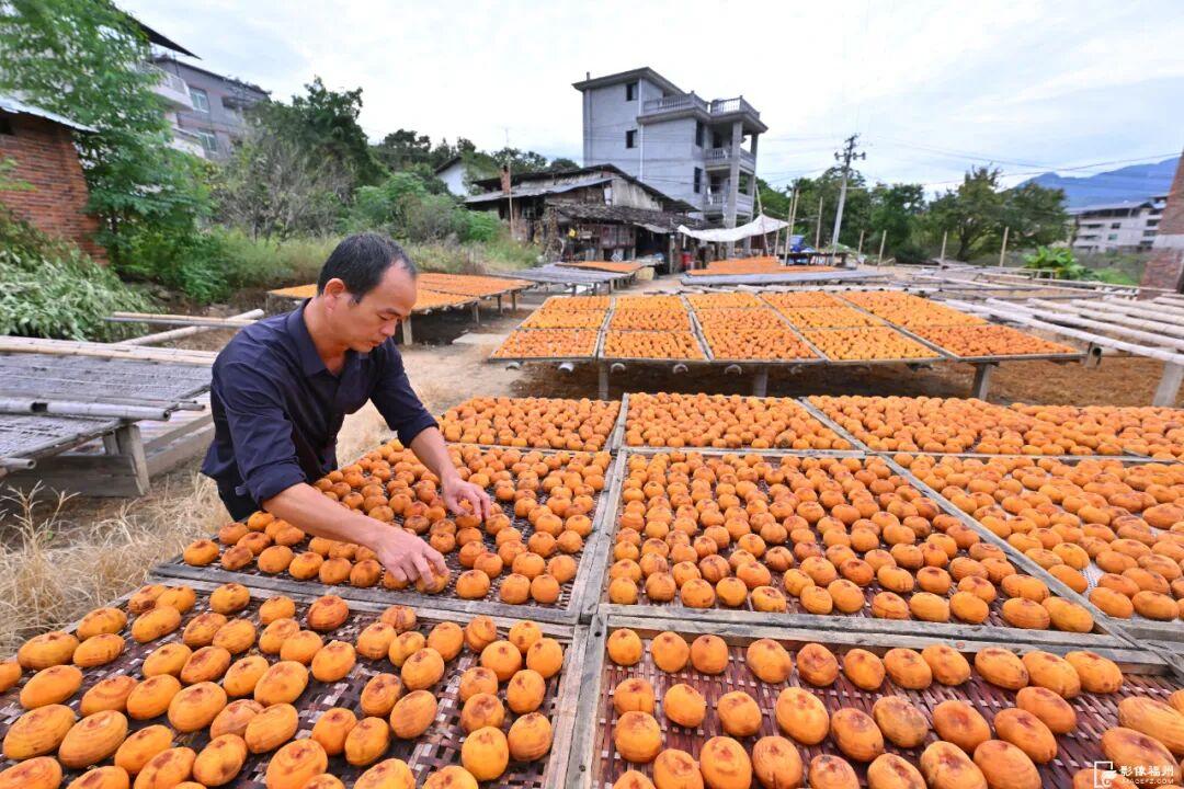 好吃！爱吃！福州秋果甜蜜上市！