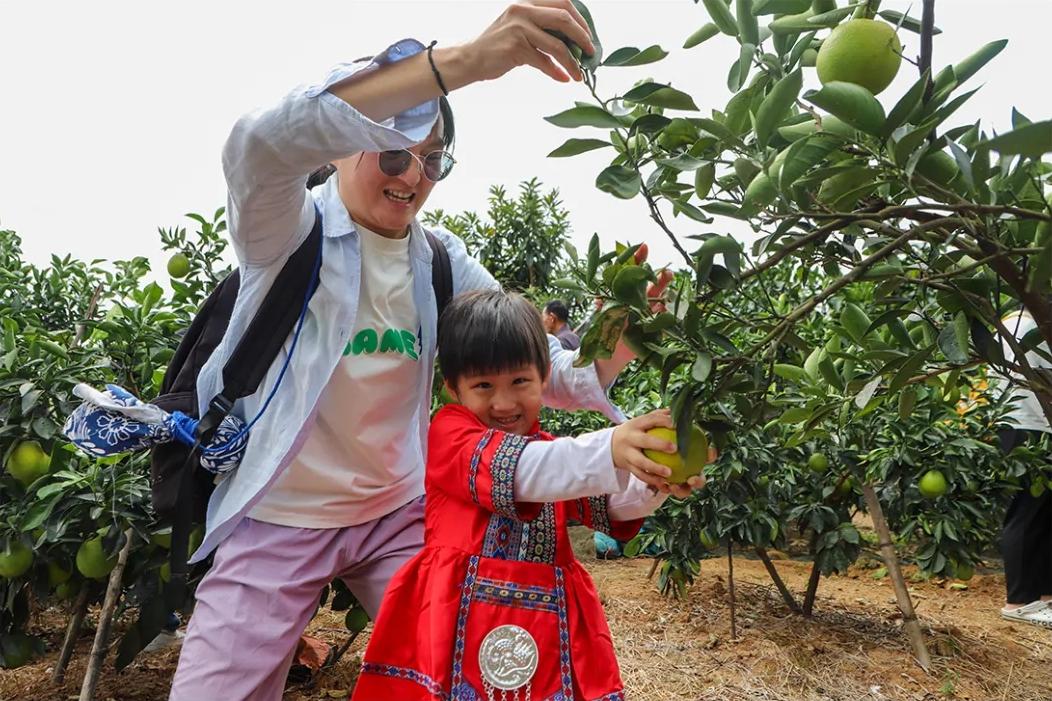 好吃！爱吃！福州秋果甜蜜上市！