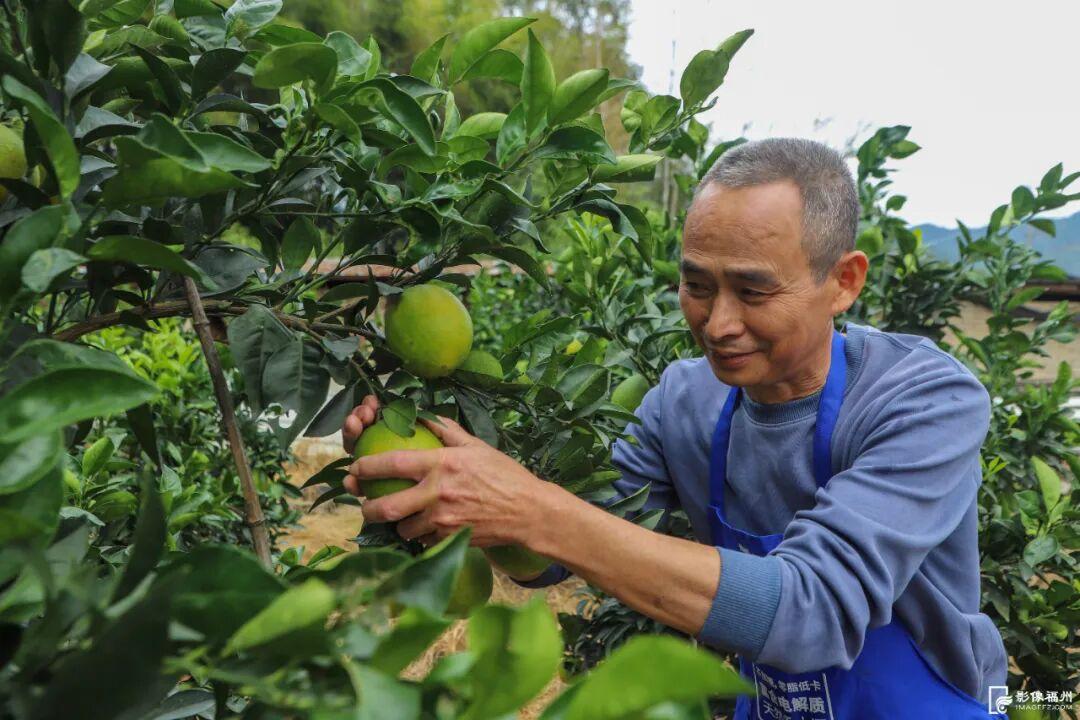 好吃！爱吃！福州秋果甜蜜上市！