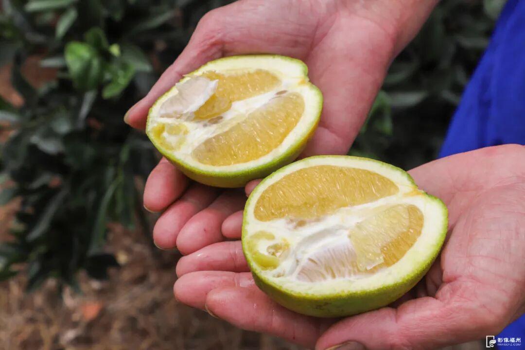 好吃！爱吃！福州秋果甜蜜上市！