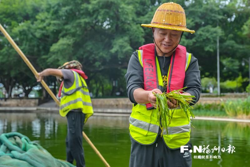 11.9万平方米“水下森林”亮相左海公园
