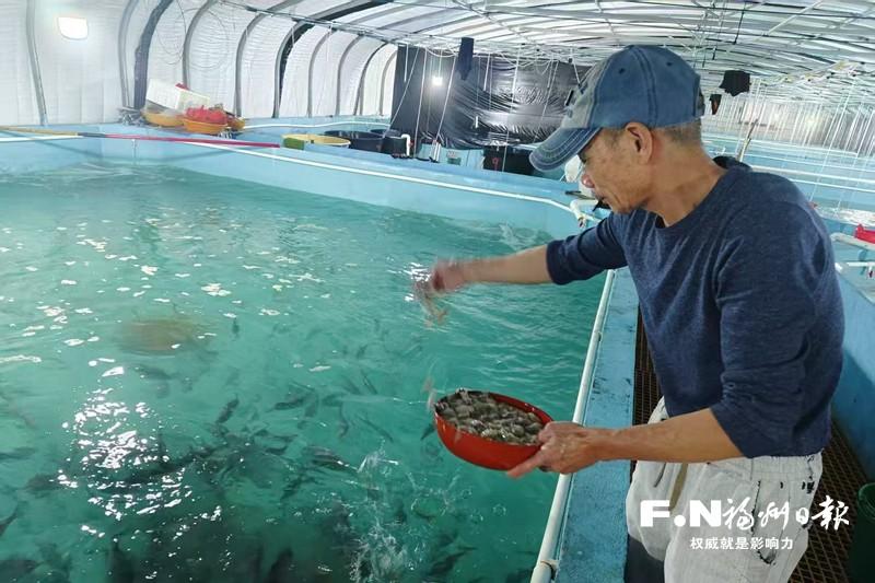 罗源：“剥皮鱼”游出致富新天地