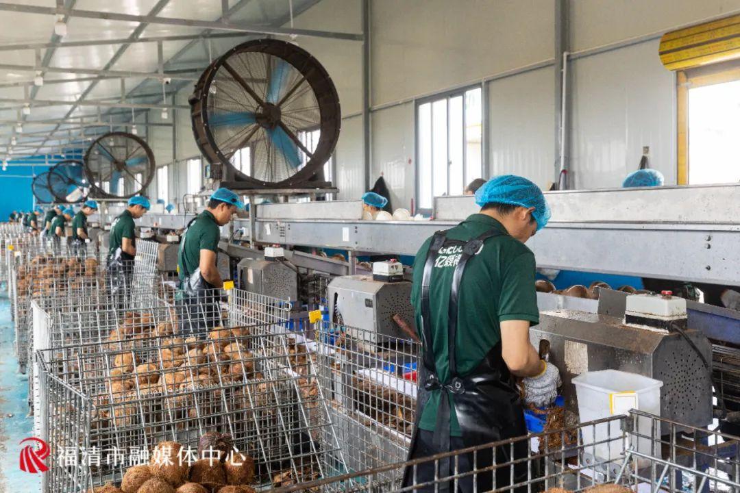 从海岸线到全球餐桌！这里“链”通世界