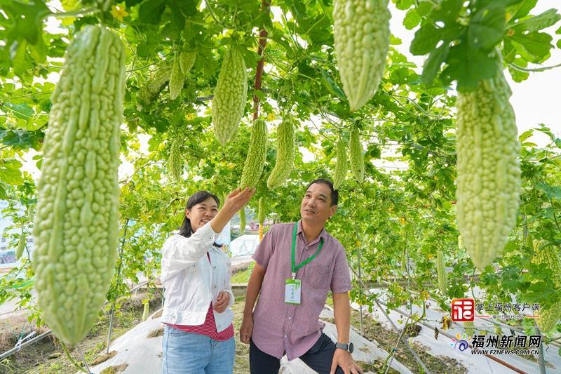 福州这场会观摩“吃苦”!“白富美”“蓝胖子”出道! 福州这场会观摩“吃苦”!“白富美”“蓝胖子”出道!