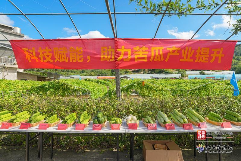 福州这场会观摩“吃苦”!“白富美”“蓝胖子”出道! 福州这场会观摩“吃苦”!“白富美”“蓝胖子”出道!