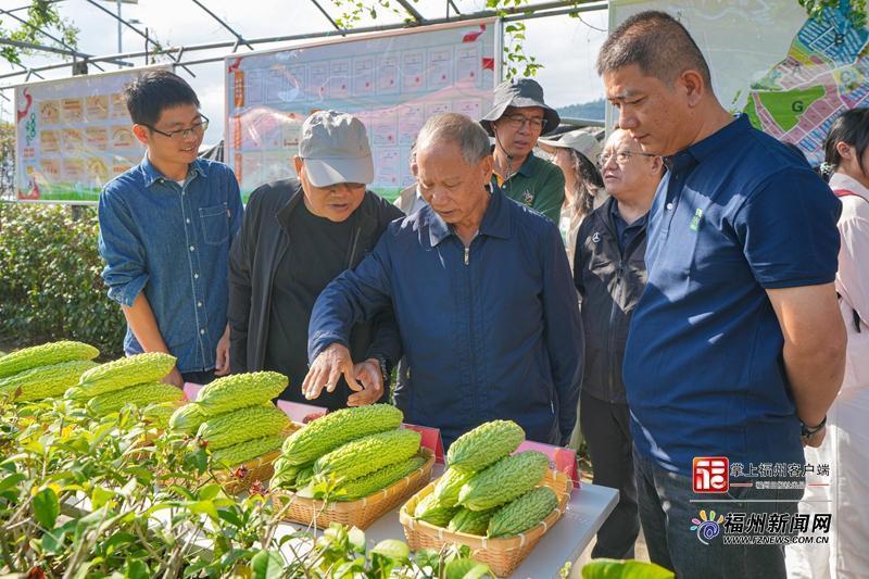 福州这场会观摩“吃苦”!“白富美”“蓝胖子”出道! 福州这场会观摩“吃苦”!“白富美”“蓝胖子”出道!