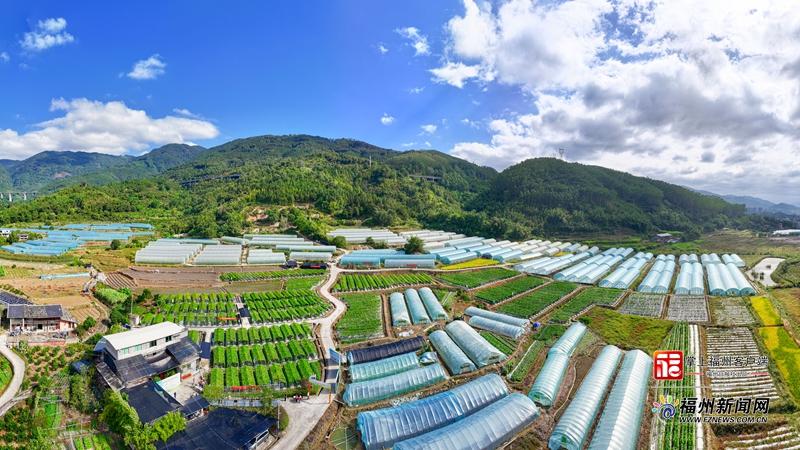 福州这场会观摩“吃苦”!“白富美”“蓝胖子”出道! 福州这场会观摩“吃苦”!“白富美”“蓝胖子”出道!