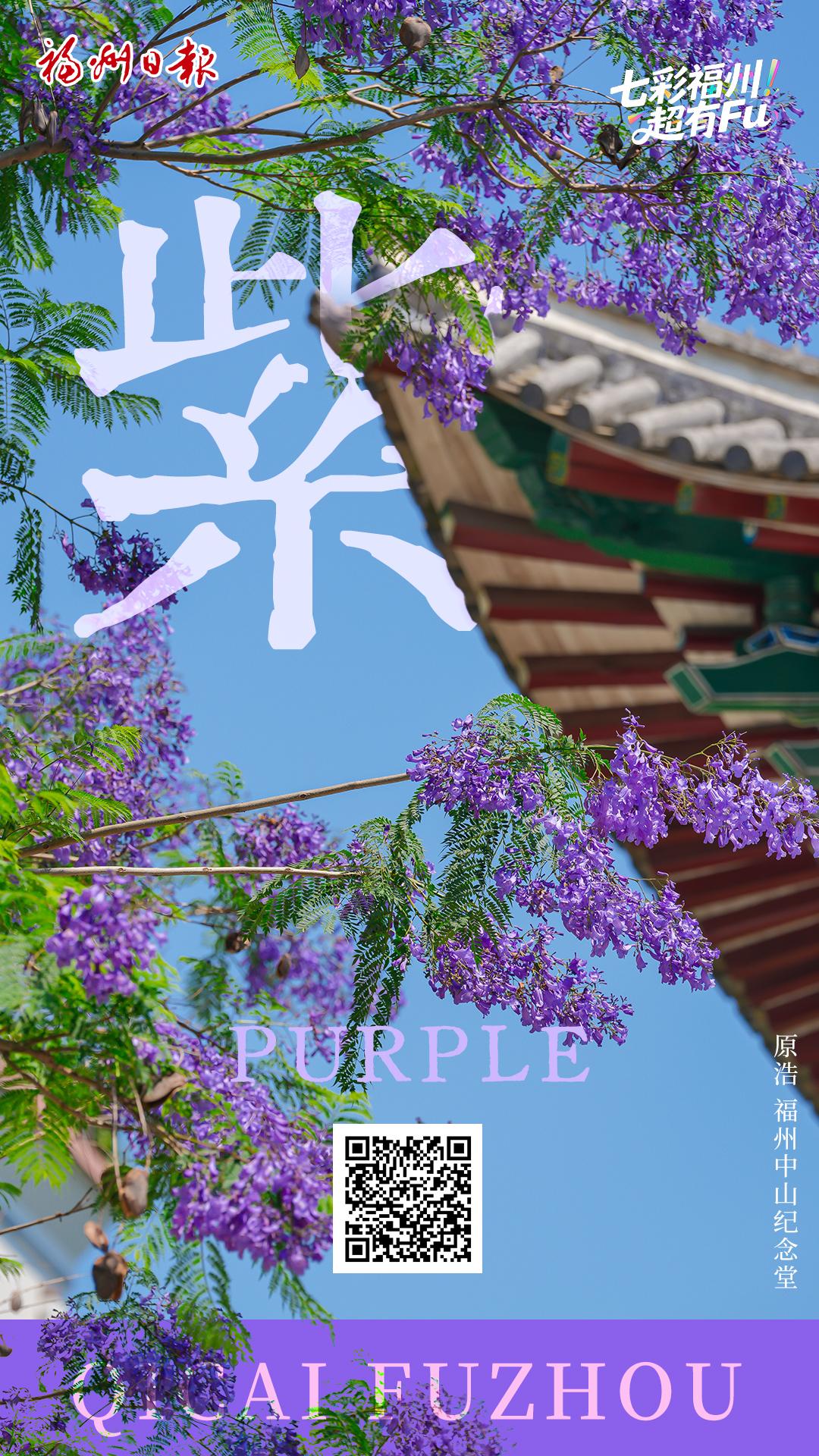 七彩福州 超有FU｜紫