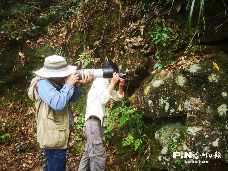 一群自然爱好者的生态守护之路：山野寻踪，解码生物多样性
