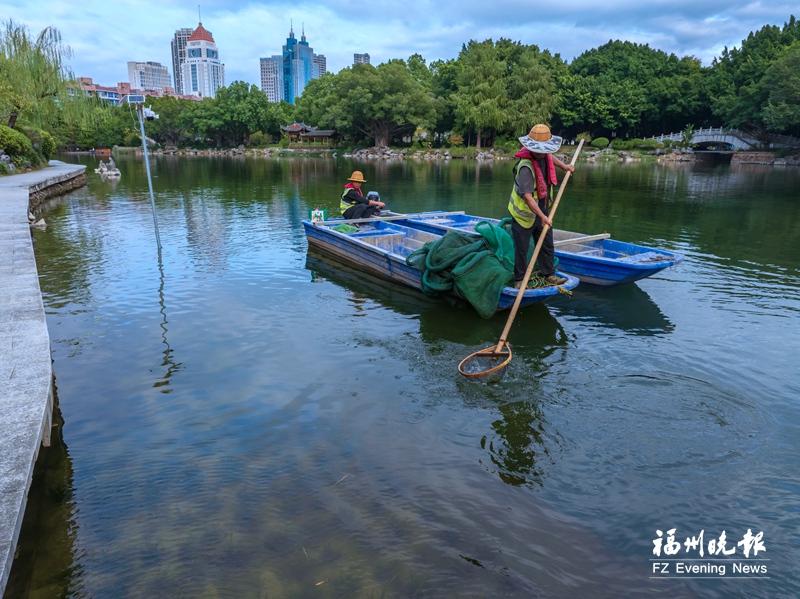 “水下森林”铺翠 西湖碧波流芳