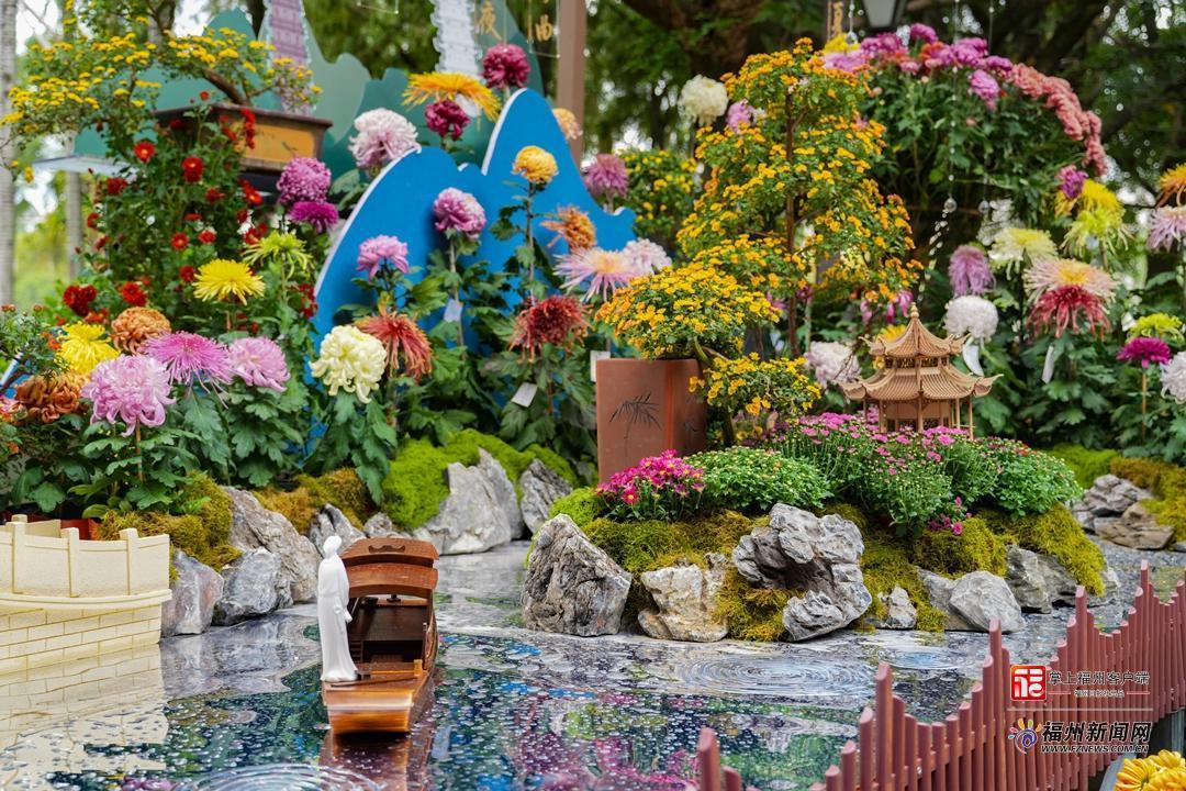 视频·见闻｜一郎来了！邂逅福州秋日“顶流”……