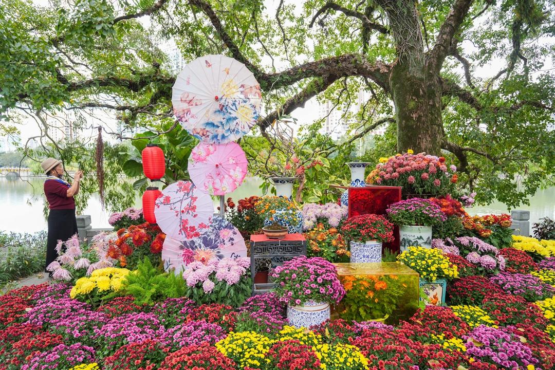视频·见闻｜一郎来了！邂逅福州秋日“顶流”……