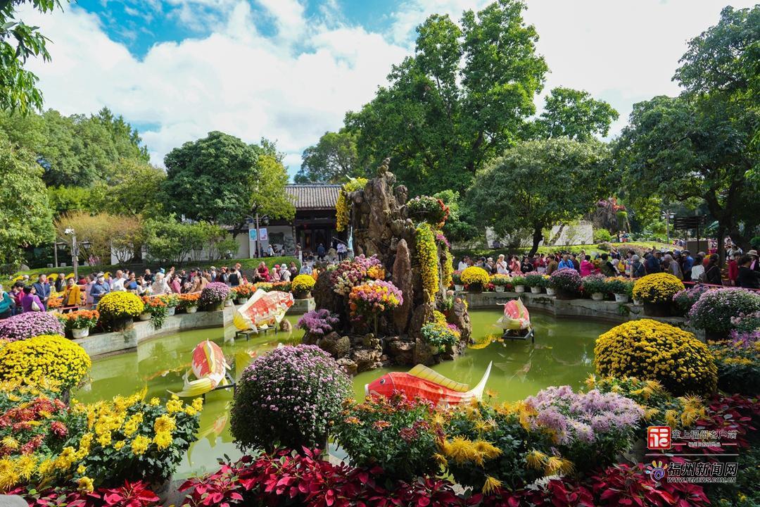 视频·见闻｜一郎来了！邂逅福州秋日“顶流”……