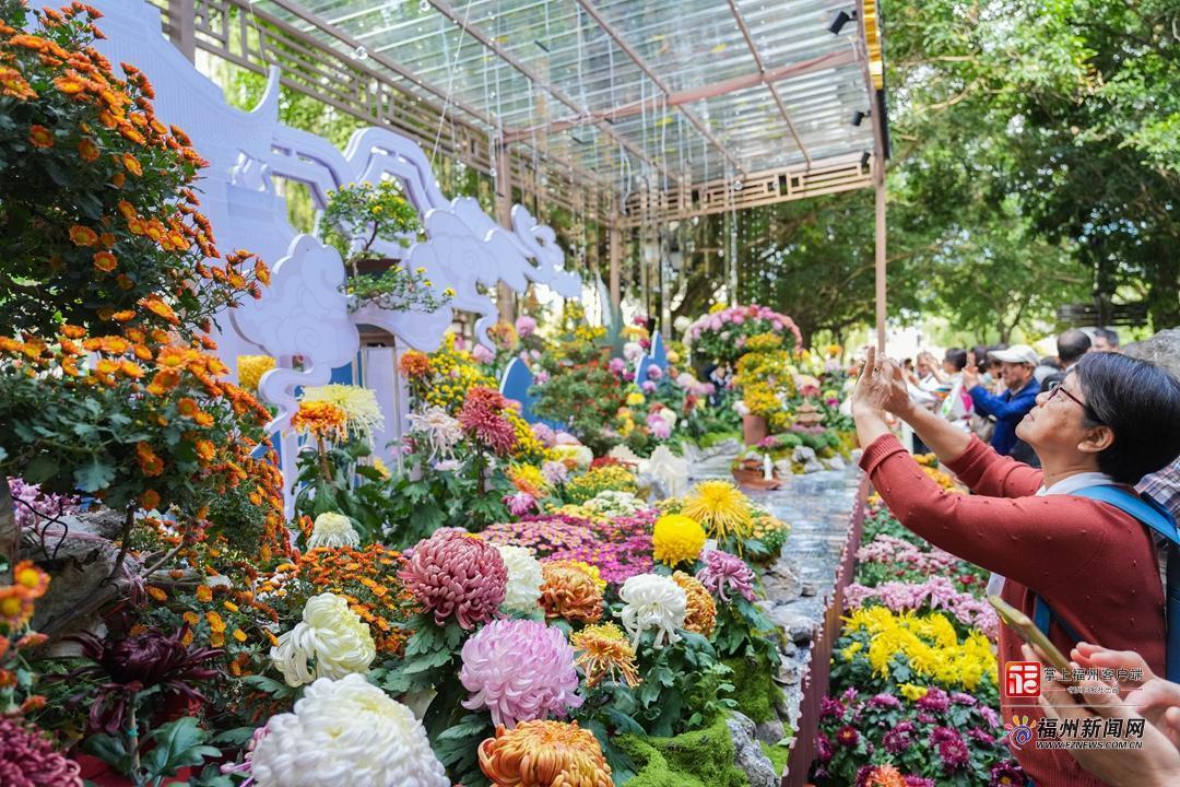 视频·见闻｜一郎来了！邂逅福州秋日“顶流”……