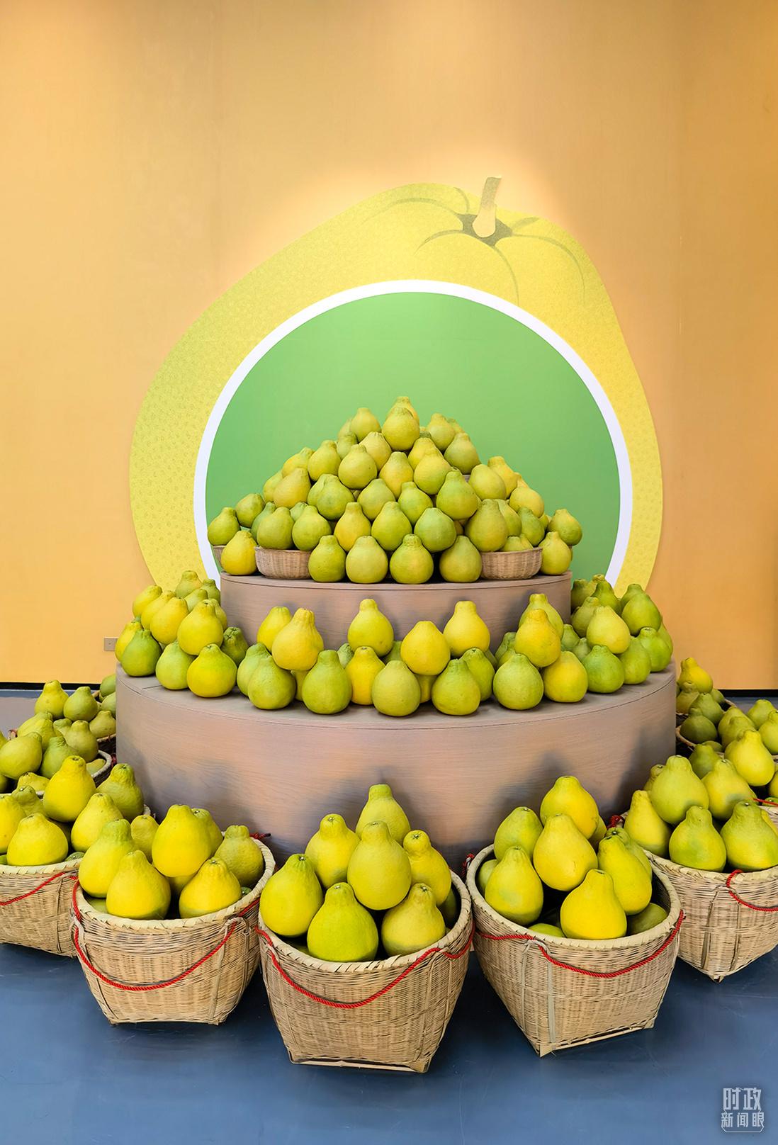 时政新闻眼丨四中全会后首次考察，习近平来到广东梅州