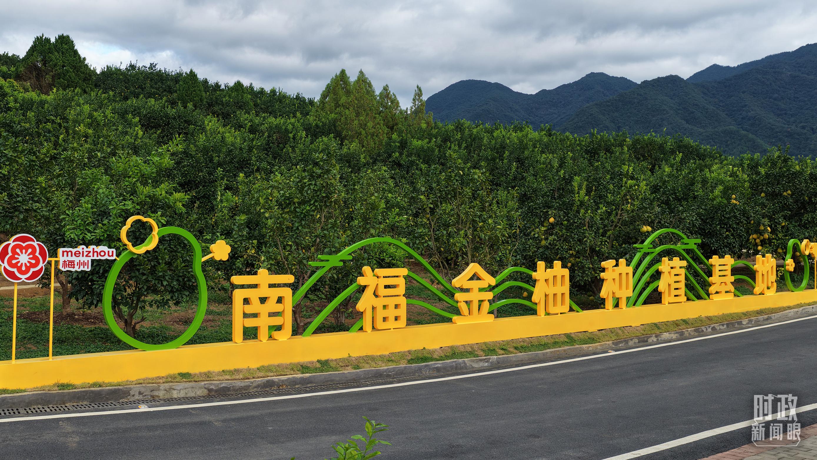 时政新闻眼丨四中全会后首次考察，习近平来到广东梅州