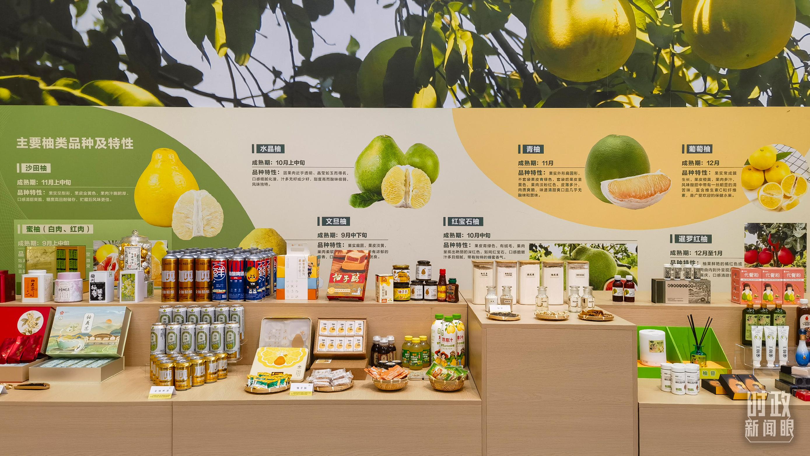 时政新闻眼丨四中全会后首次考察，习近平来到广东梅州