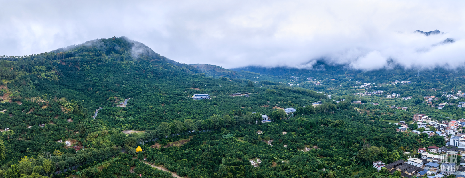 时政新闻眼丨四中全会后首次考察，习近平来到广东梅州