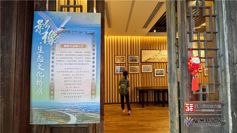 “神話之鳥”飛進三坊七巷 閩臺攜手亮出濕地保護“答卷”