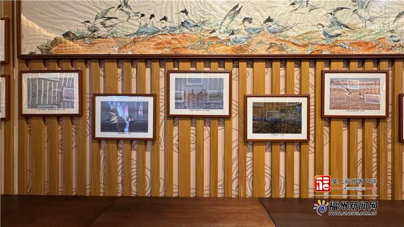 “神話之鳥”飛進三坊七巷 閩臺攜手亮出濕地保護“答卷”